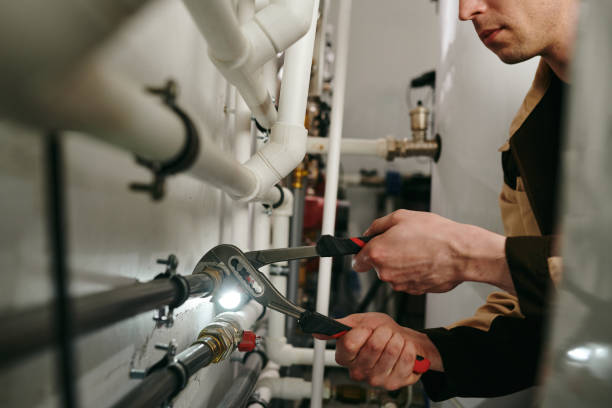 Best Plumbing Inspection Services  in Walls, MS