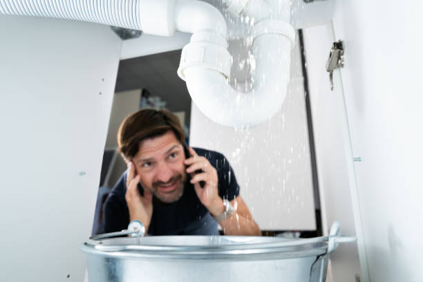 Best Shower Repair Services  in Walls, MS